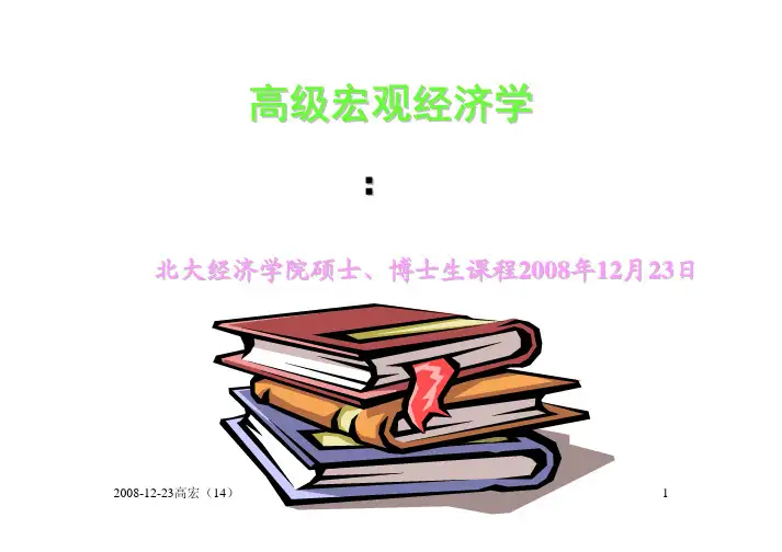 北大张延高宏课件4599