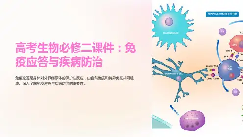 高考生物必修二课件：免疫应答与疾病防治