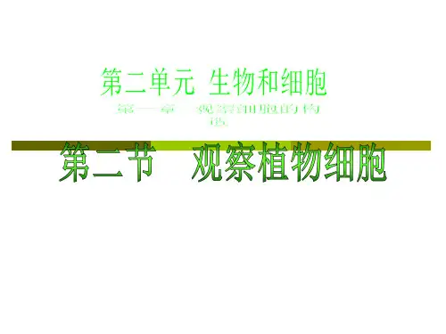 第二单元观察植物细胞优质说课稿