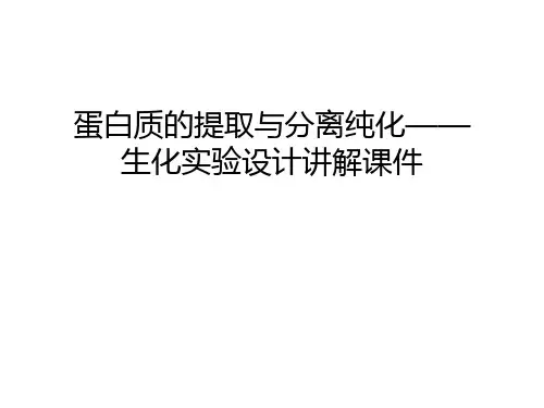 蛋白质的提取与分离纯化——生化实验设计讲解课件讲解学习