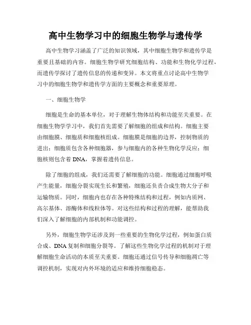 高中生物学习中的细胞生物学与遗传学