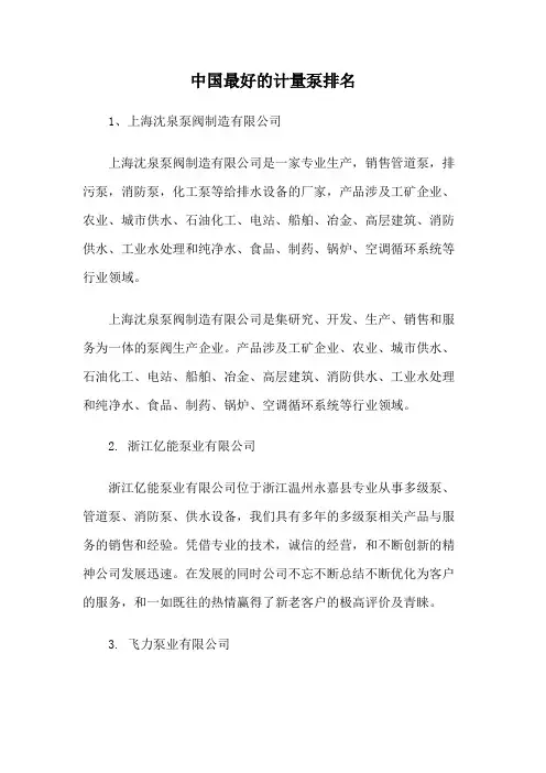 中国最好的计量泵排名