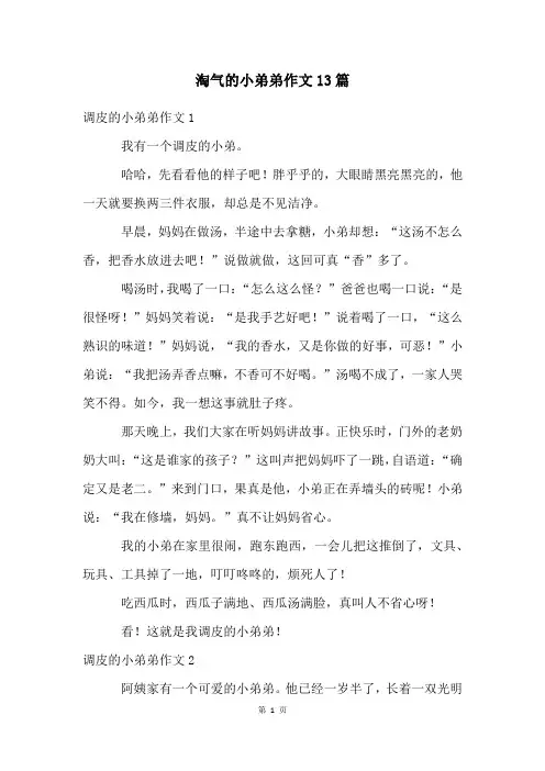 淘气的小弟弟作文13篇