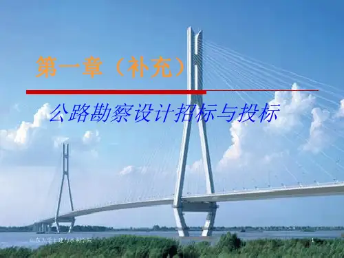 公路勘察设计招标与投标(增加)PPT课件