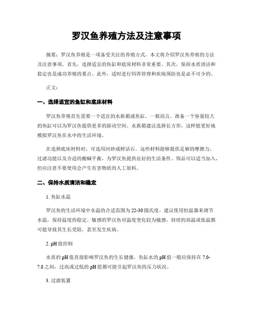 罗汉鱼养殖方法及注意事项