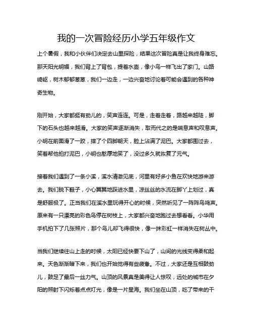 我的一次冒险经历小学五年级作文