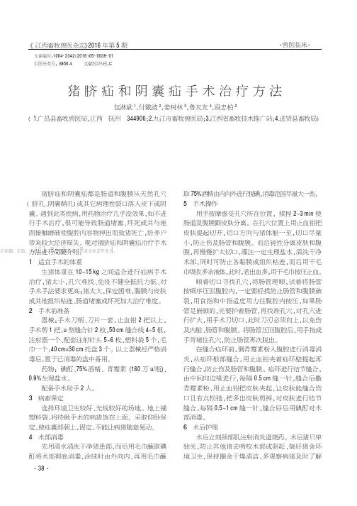 猪脐疝和阴囊疝手术治疗方法