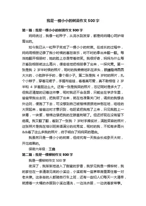 我是一棵小小的树苗作文500字