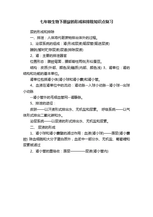 七年级生物下册尿的形成和排除知识点复习