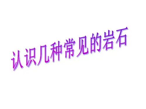 4.2认识几种常见的岩石