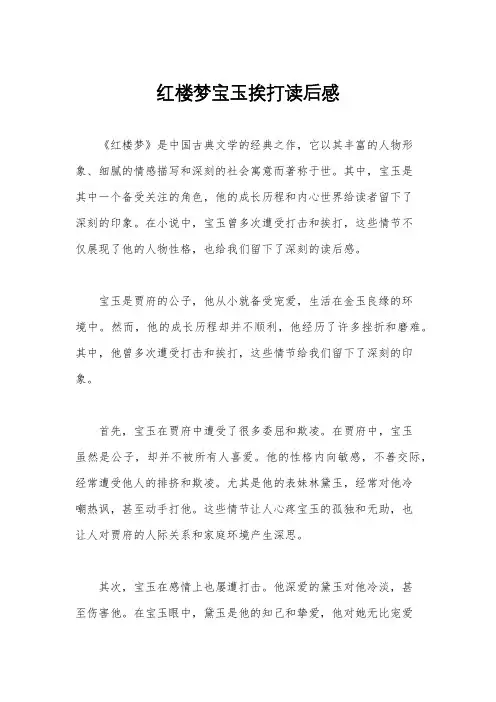 红楼梦宝玉挨打读后感