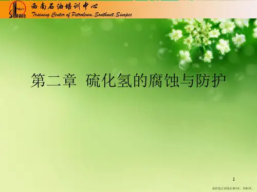 第二章  硫化氢的腐蚀与防护