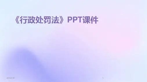 《行政处罚法》PPT课件(2024)