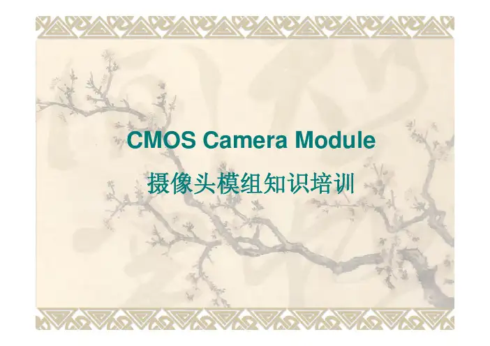 CCM介绍