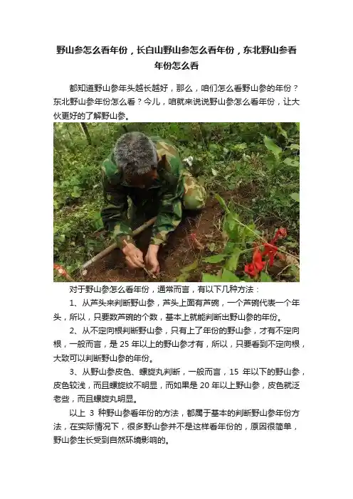 野山参怎么看年份，长白山野山参怎么看年份，东北野山参看年份怎么看