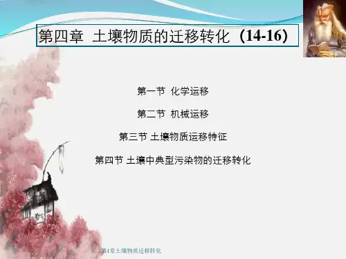 第4章土壤物质迁移转化