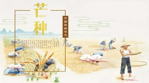 芒种二十四节气之介绍主题班会PPT课件