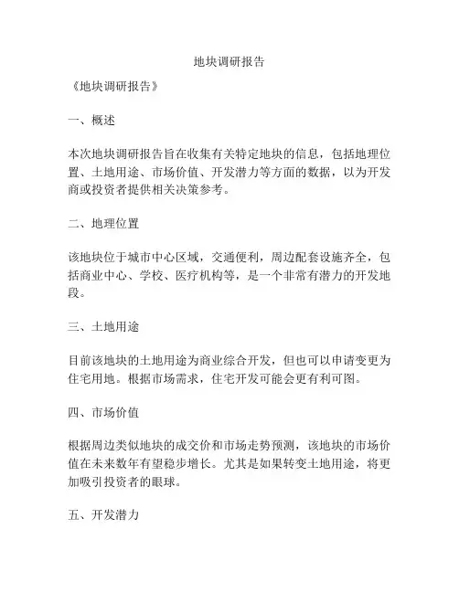 地块调研报告