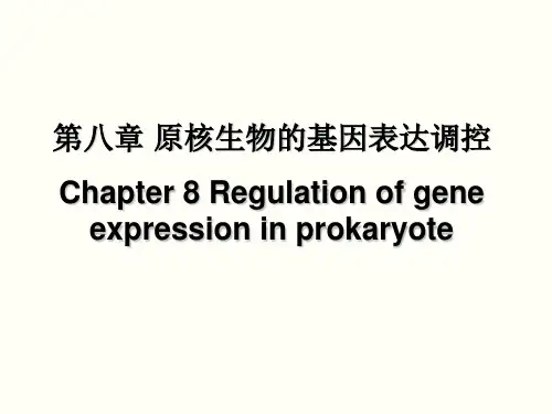 第八章 expression regulation in prokaryote