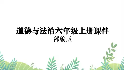 六年级上册道德与法治部编版课件知法守法-依法维权 第3课时 课件