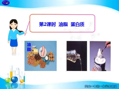 第2课时  油脂  蛋白质