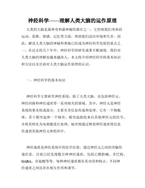 神经科学——理解人类大脑的运作原理