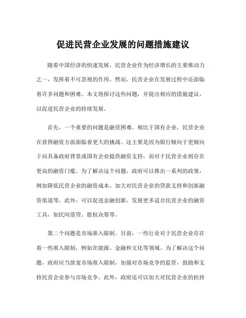 促进民营企业发展的问题措施建议