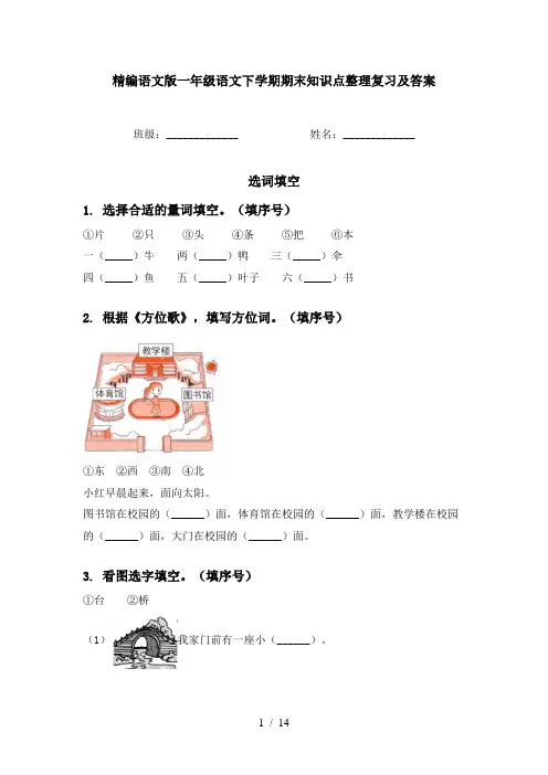 精编语文版一年级语文下学期期末知识点整理复习及答案
