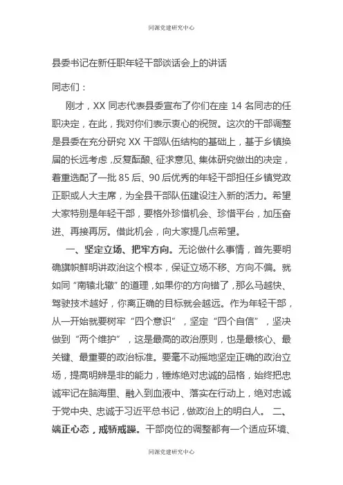 县委书记在新任职年轻干部谈话会上的讲话