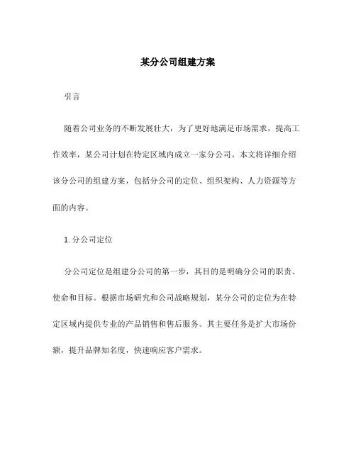 某分公司组建方案