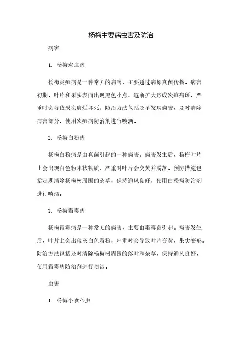 杨梅主要病虫害及防治