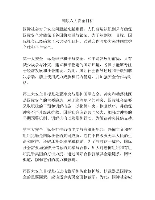 国际六大安全目标