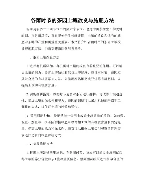 谷雨时节的茶园土壤改良与施肥方法