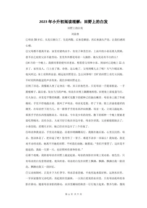2023年小升初语文阅读理解：田野上的白发(附答案解析)