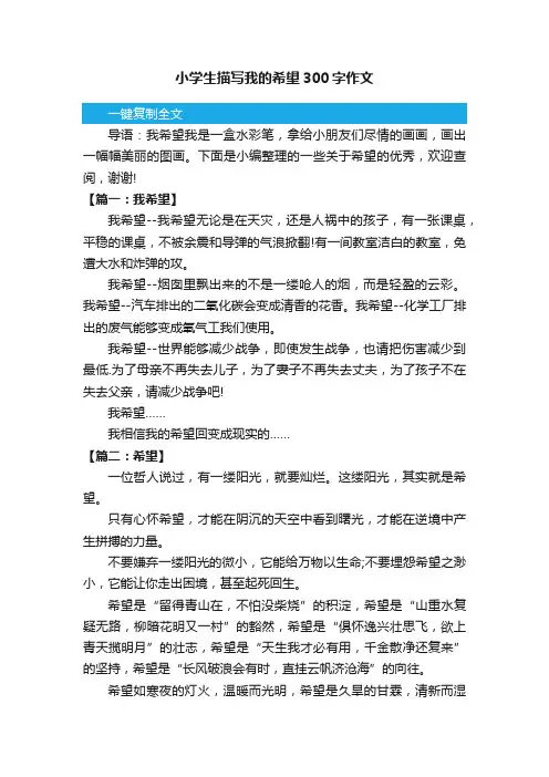 小学生描写我的希望300字作文