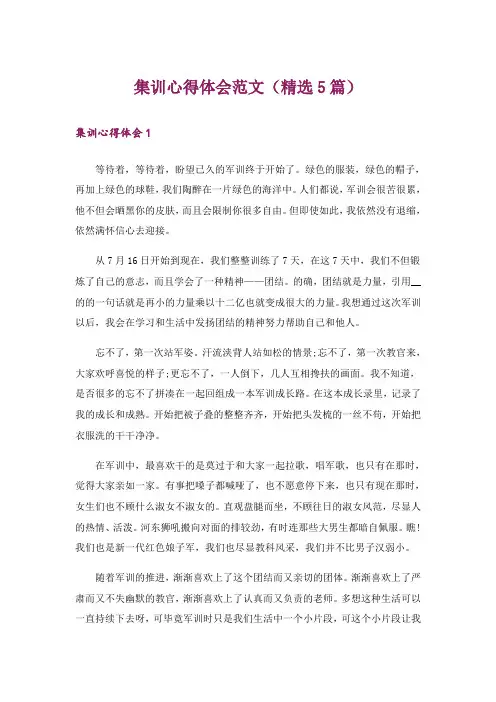 集训心得体会范文(精选5篇)