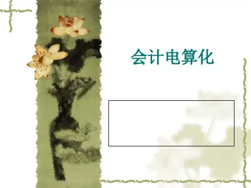 会计电算化-知识点