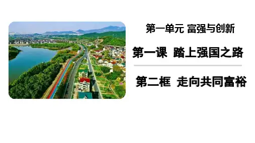 《走向共同富裕》PPT