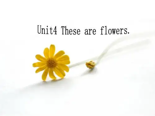 秋湘少版英语四年级上册Unit 《These are flowers》ppt课件