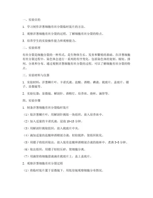 洋葱的实验报告