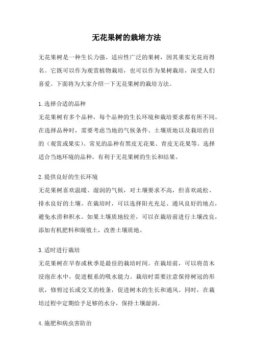 无花果树的栽培方法