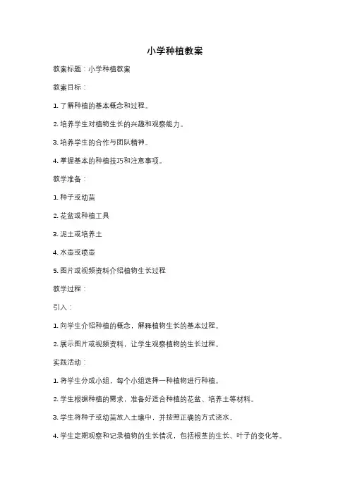 小学种植教案