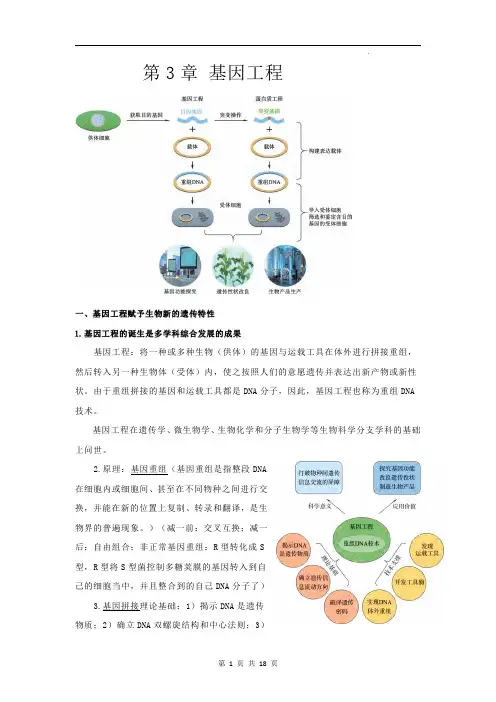 上海市高中生物选修3：第三章基因工程知识点