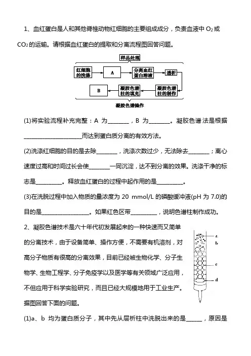 一轮复习：蛋白质的提取与分离作业2