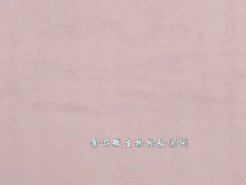 微生物检验实例菌落总数ppt课件