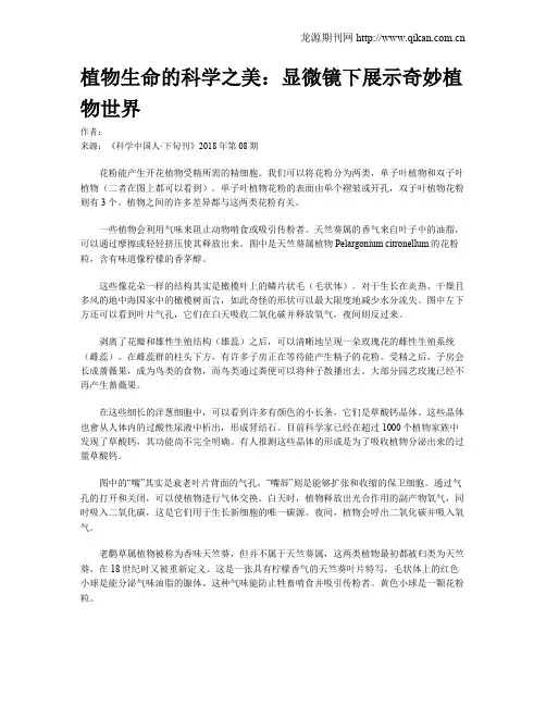 植物生命的科学之美：显微镜下展示奇妙植物世界