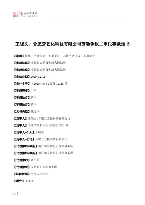 王晓文、合肥云艺化科技有限公司劳动争议二审民事裁定书