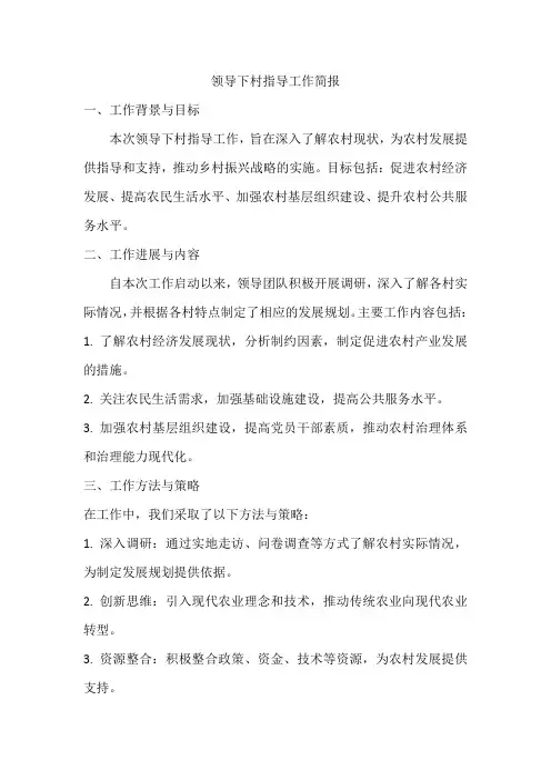 领导下村指导工作简报