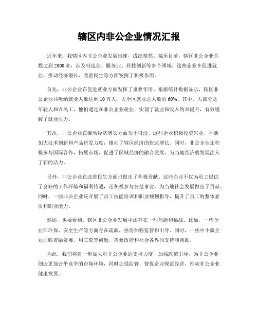 辖区内非公企业情况汇报