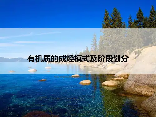 有机质的成烃模式及阶段划分
